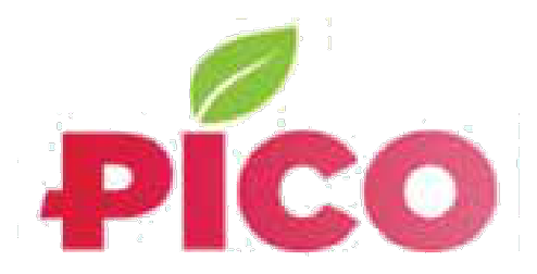 Pico